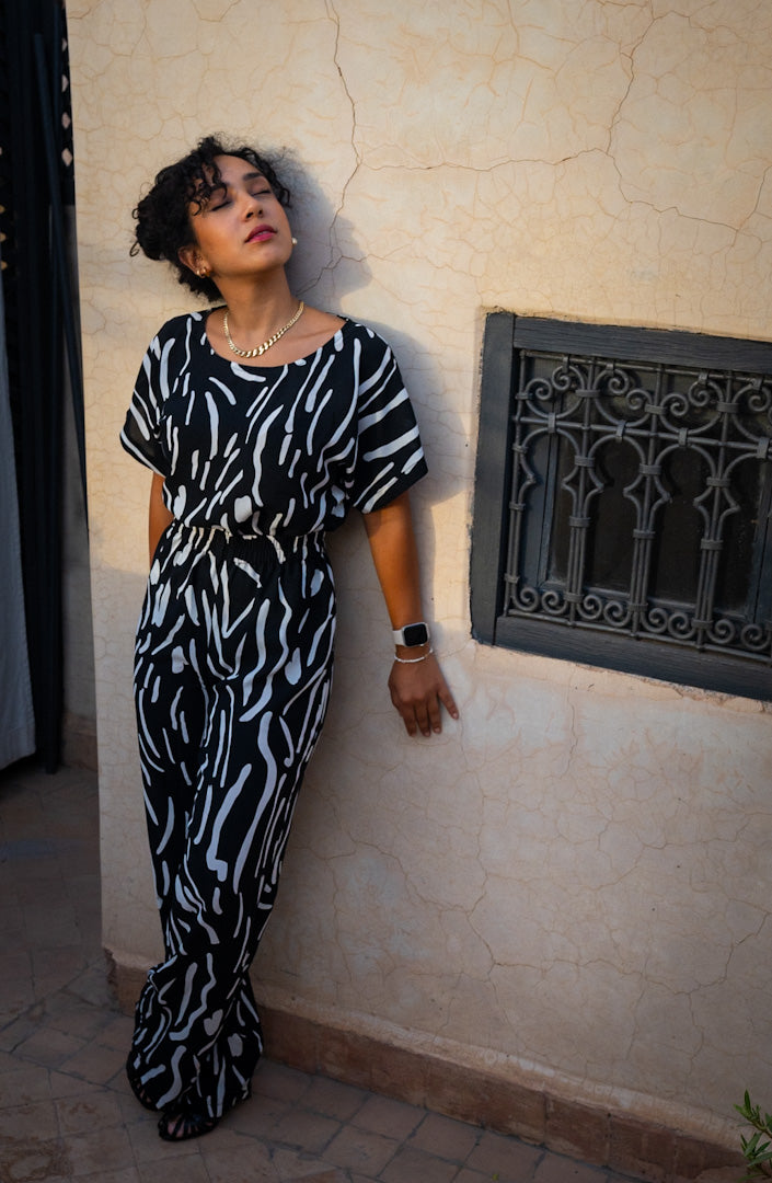 Set zebre